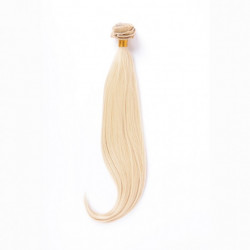 Bifull Extension 50cm Lisa Mod 613c Platinblond Asche