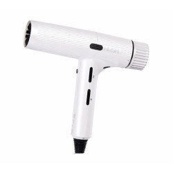 Perfect Beauty Runway Hu600 Professioneller Ionenhaartrockner