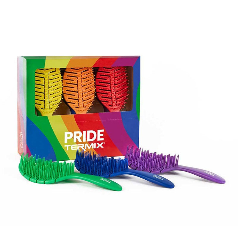 Termix Aussteller Pinsel Pride (6 Stück) Termix Aussteller Pinsel Pride (6 Stück)