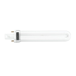 Thuya Glühbirne Lampe Holz