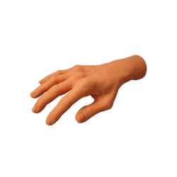 Thuya Praxis-Handbuch