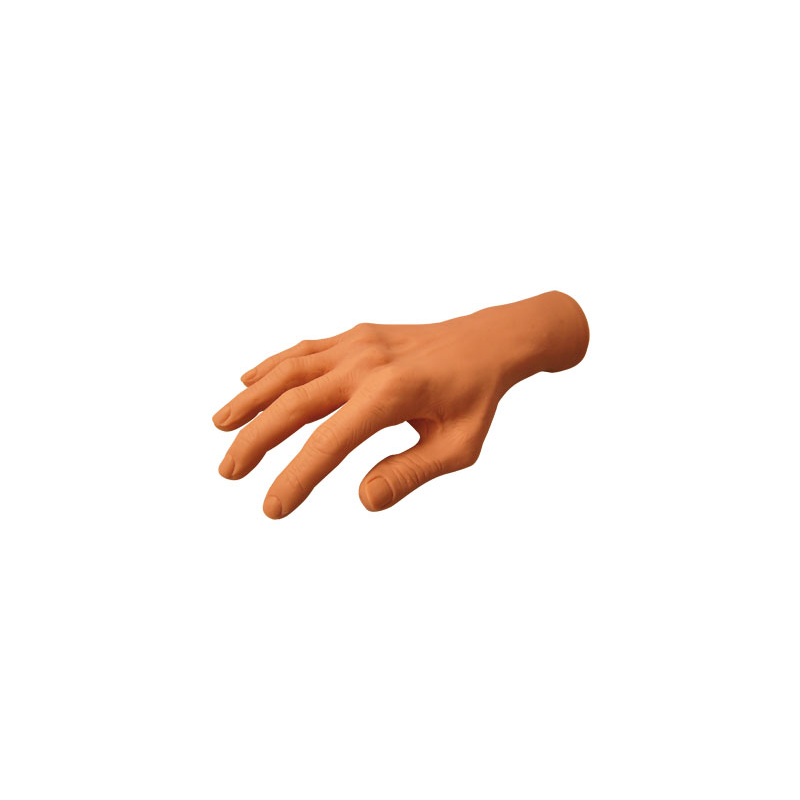 Thuya Praxis-Handbuch