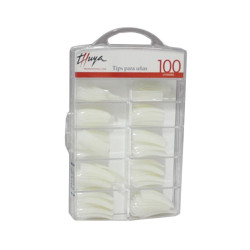 Thuya Tipps Box (100 Stk.)