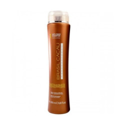 Brasil Cacau Anti-Frizz Shampoo (300ml)