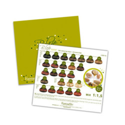 Farmavita Farbkarte Ammoniakfreie Haarfarbe Farmavita