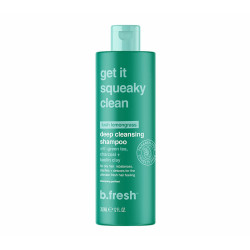 B. Fresh Mach es quietschsauber – Tiefenreinigendes Shampoo (335ml)