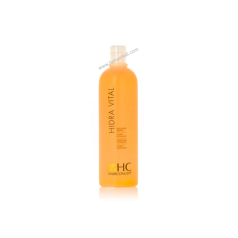 Hairconcept Hydra-Vital-Shampoo (500ml) Hairconcept Hydra-Vital-Shampoo (500ml)