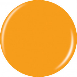 Gelaze Geláze Gel-N-Base (9.75ml)