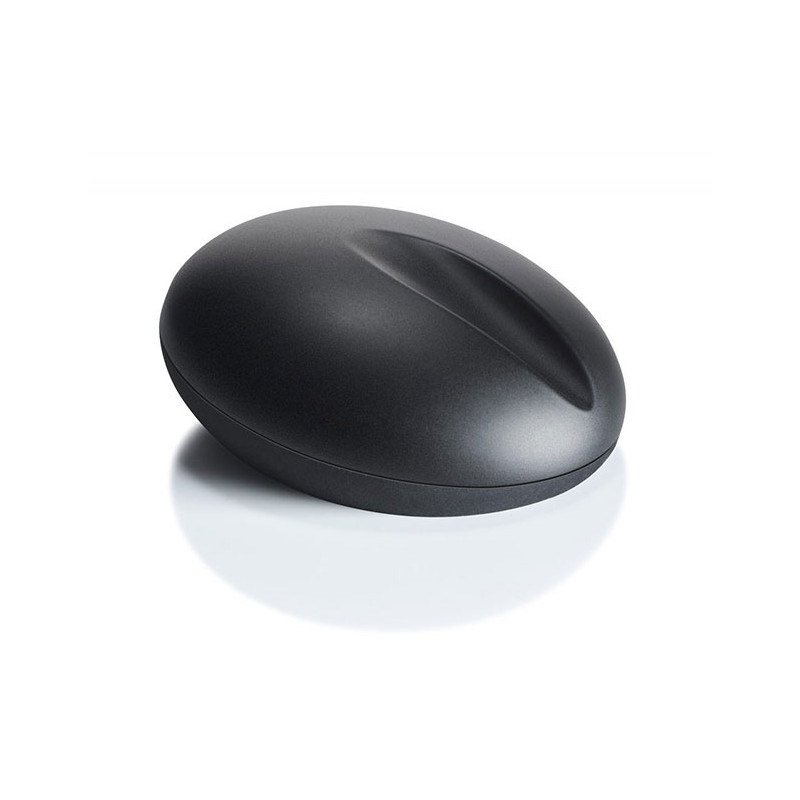 Bolin Webb R1 Gravity Rasiererständer Schwarz