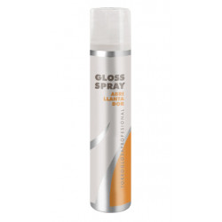 Torroglosa Sonstiges Glanzspray (200ml)