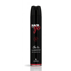 Lendan Hair To Go Chic Fix, Extra Starker Fixierlack (500ml)