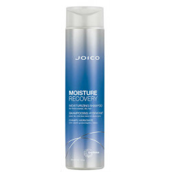 Joico Feuchtigkeitsrückgewinnungs-Shampoo