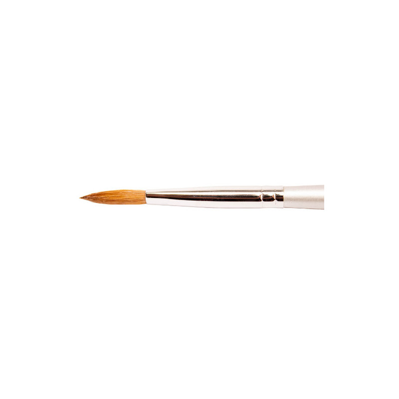 Thuya Pinsel nº 6