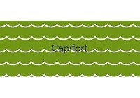 CAPIFORT